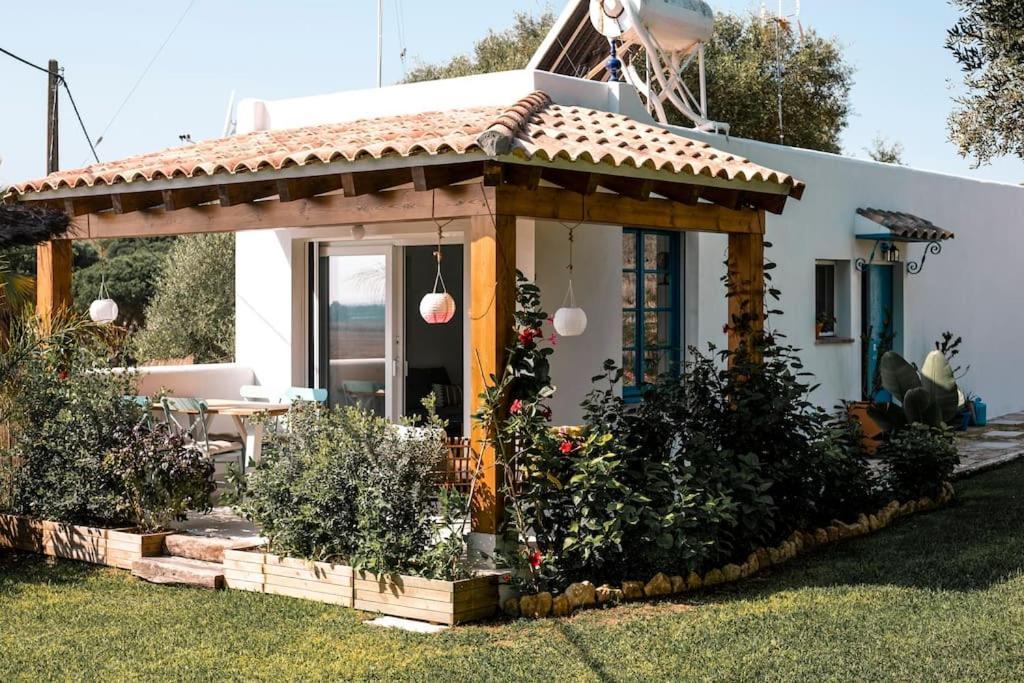 Вилла Soul Casas Вьер де ла Фронтера Экстерьер фото